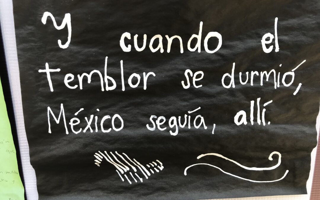 Reaxión. Memoria, balance y fortalecimiento antes sismos