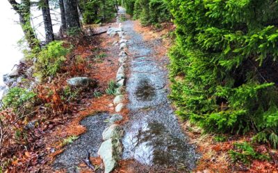 Paradigmas para enfrentar la crisis ambiental