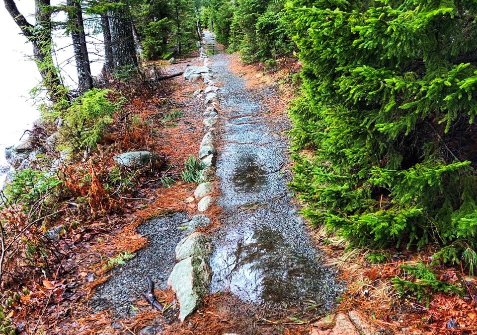 Paradigmas para enfrentar la crisis ambiental