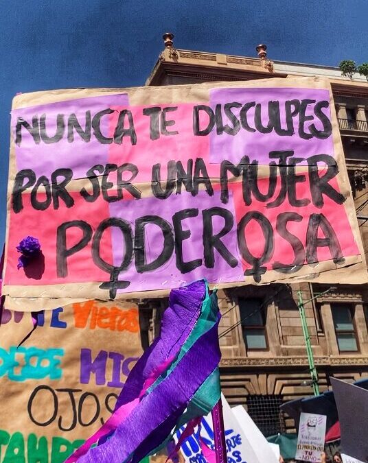 El Primer año de Claudia Sheinbaum, Presidenta